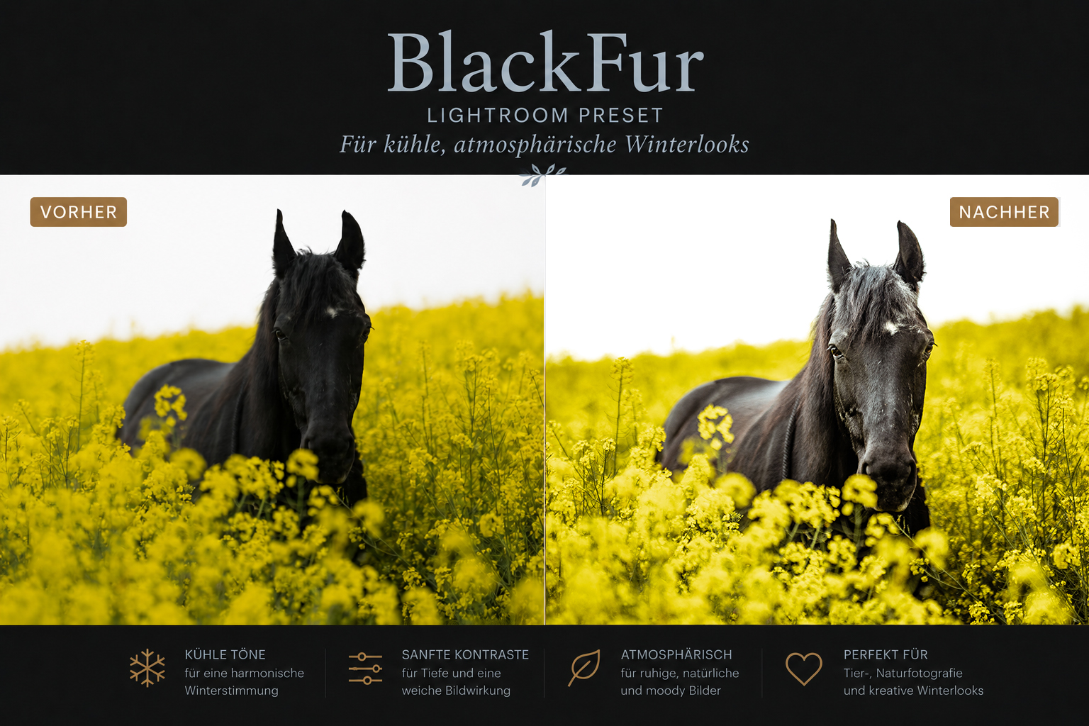 Produktbild_BlackFur2