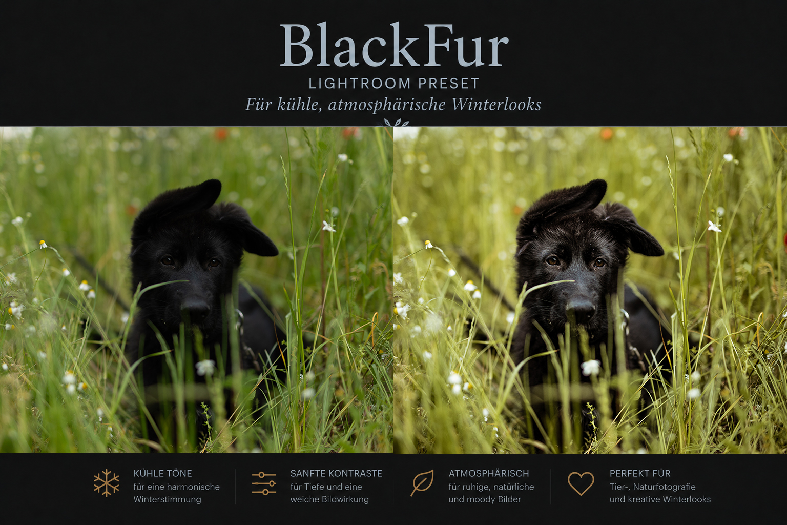 Produktbild_BlackFur3