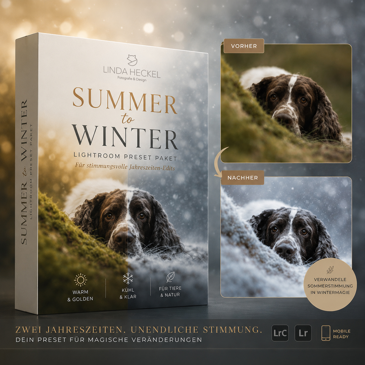SummertoWinter_Preset