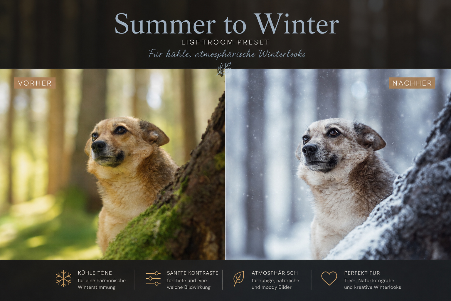 SummertoWinter_Produktgalerie