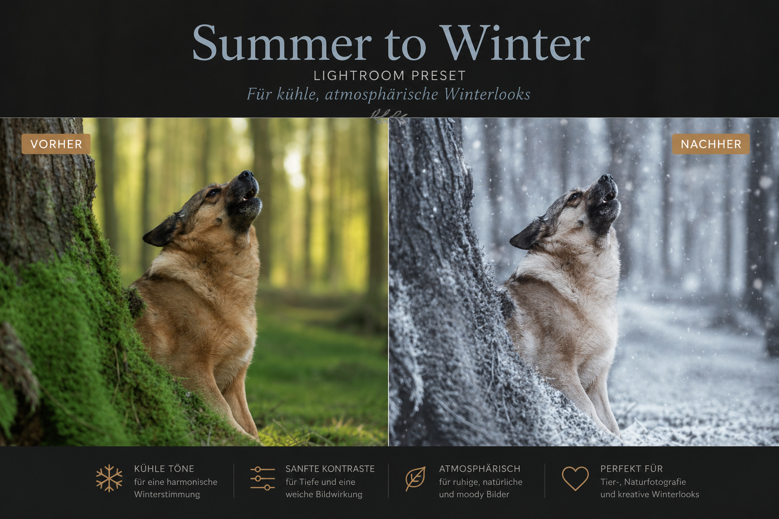 SummertoWinter_Produktgalerie2